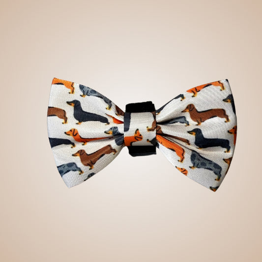 Beige sophisticated sausage dog bow tie attached to a dachshund collar with an exclusive dachshund print.
