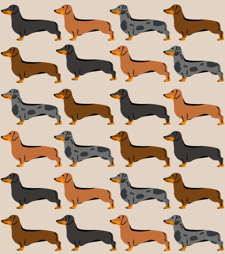 dachshund-pattern-collection.jpg
Beige Sophisticated Sausage dachshund pattern collection featuring miniature and standard dachshunds.