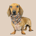 Load image into Gallery viewer, Beige dachshund snood in our Sophisticated Sausage print, designed to keep miniature and standard sausage dogs warm.
