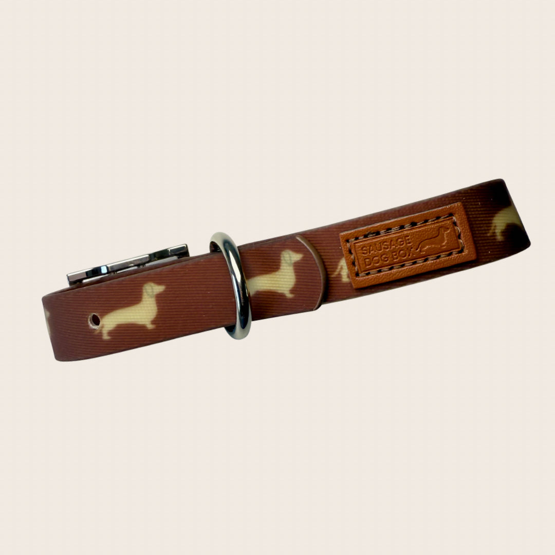 Close-up of the DoxieFlex waterproof Biothane dachshund collar with leather branding.