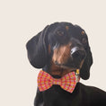 Load image into Gallery viewer, Black and tan dachshund wearing the Tutti Fruitti bow tie
