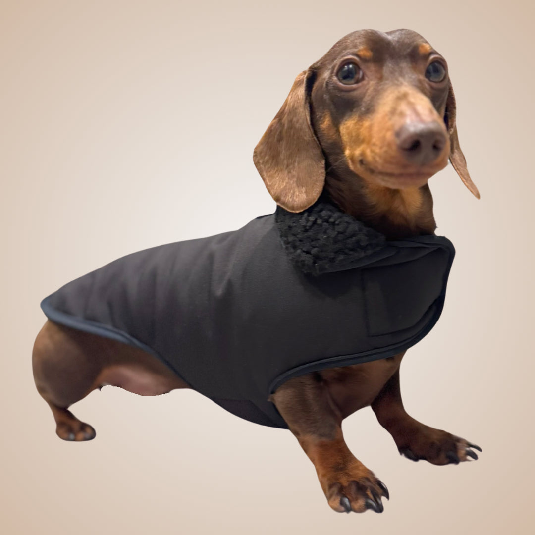 Black sherpa-lined dachshund parka jacket designed for miniature and standard sausage dogs with a warm, comfortable fit.