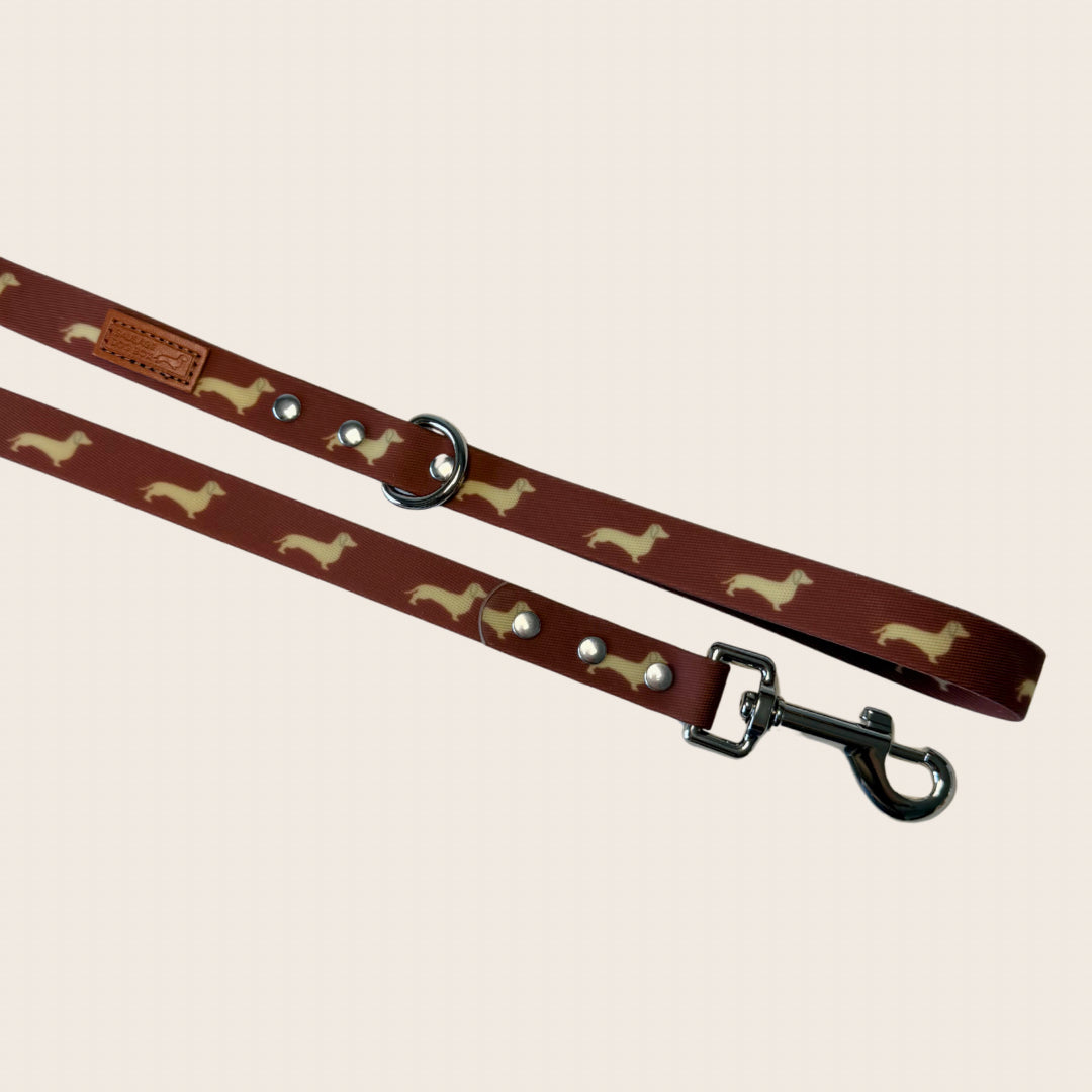 Close-up of the DoxieFlex Biothane waterproof dachshund lead.
