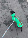 Load image into Gallery viewer, Black and tan dachshund wearing the Champion Pup waterproof harness fleece on a walk.
