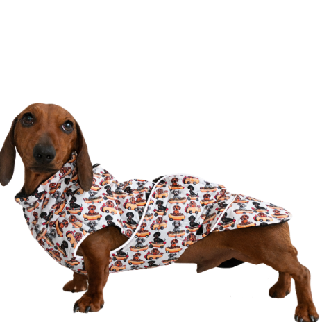 Waterproof coats and jackets for miniature and standard dachshunds