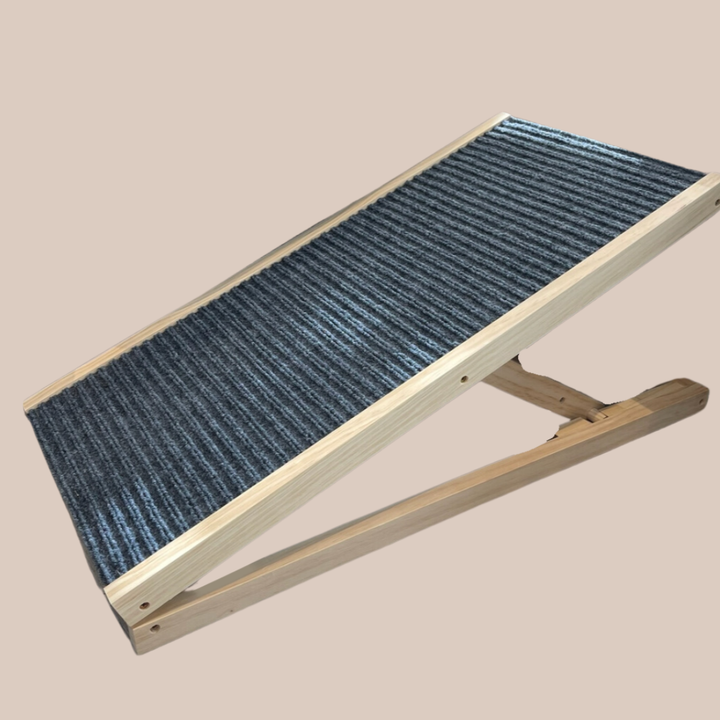 IVDD support products for dachshunds including ramps, recovery clothing and accessories.