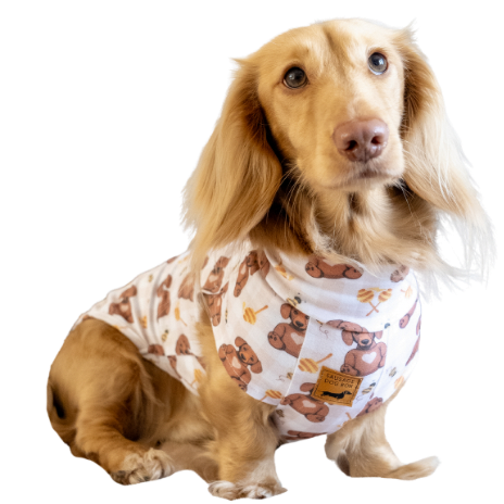 Soft dachshund pyjamas for miniature and standard sausage dogs