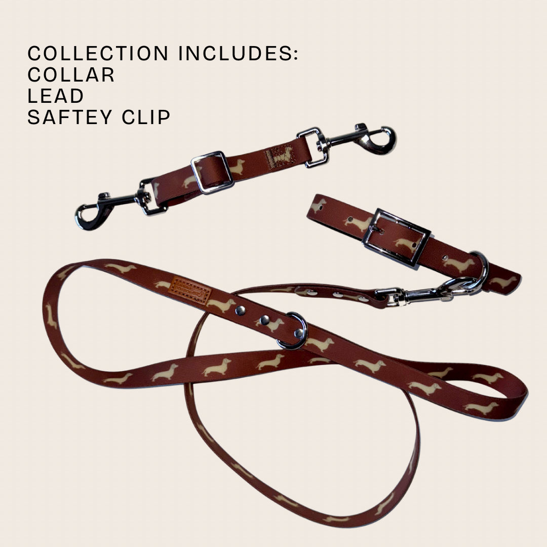 DoxieFlex Biothane dachshund collar, lead and safety clip collection designed for secure everyday walks.