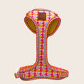 Load image into Gallery viewer, Black and tan dachshund wearing the Tutti Fruitti DoxieLite anti-rub harness outdoors
