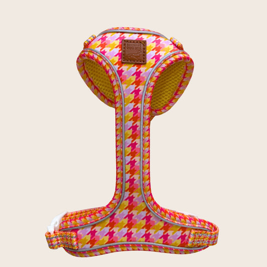 Black and tan dachshund wearing the Tutti Fruitti DoxieLite anti-rub harness outdoors