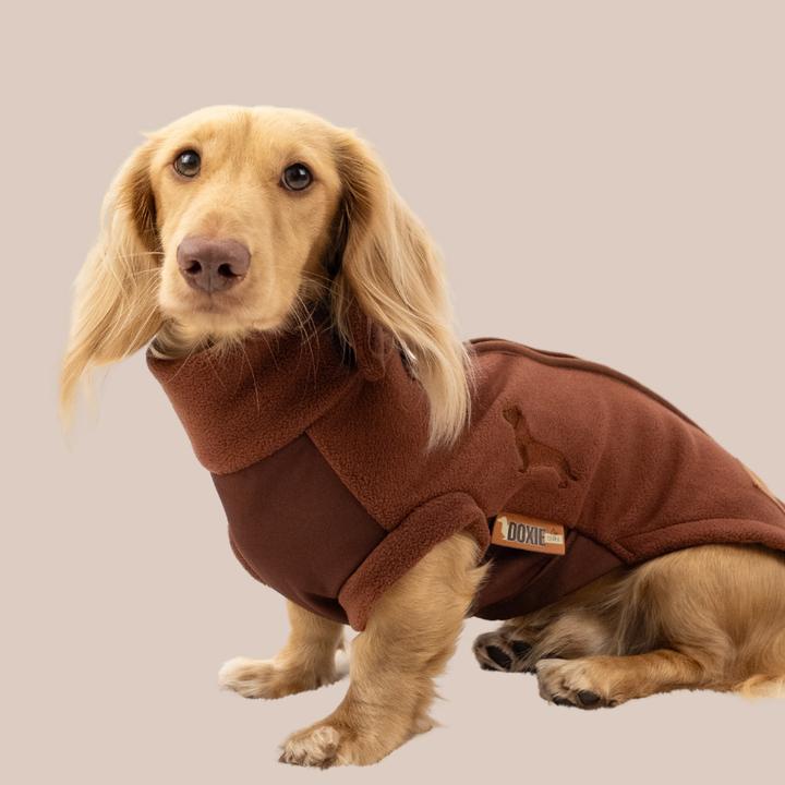 Winter clothing for dachshunds including warm fleeces, coats and jumpers for cold weather walks.