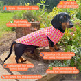 Load image into Gallery viewer, Features of the DoxieCool UPF 30+ cooling vest for dachshunds
