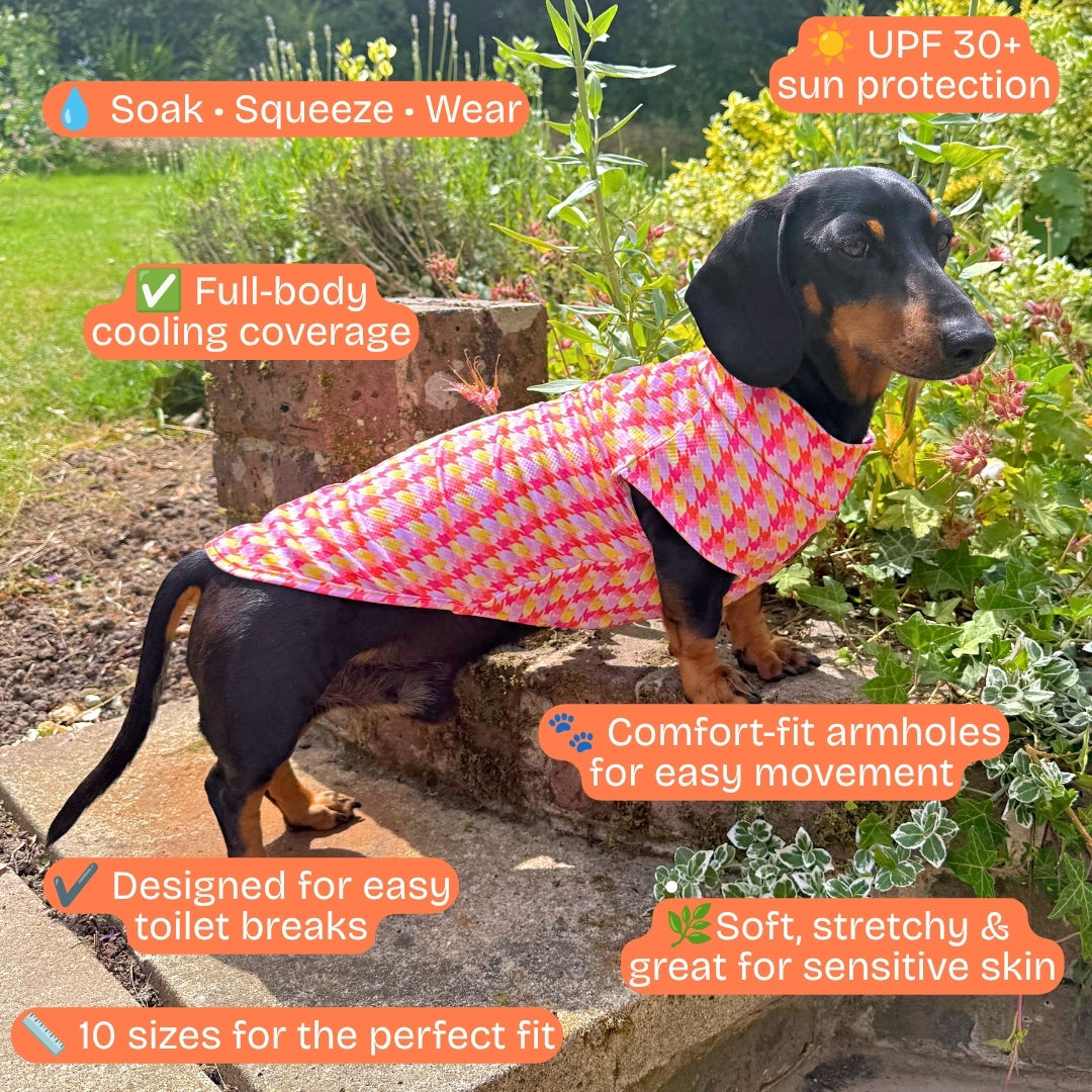 Features of the DoxieCool UPF 30+ cooling vest for dachshunds