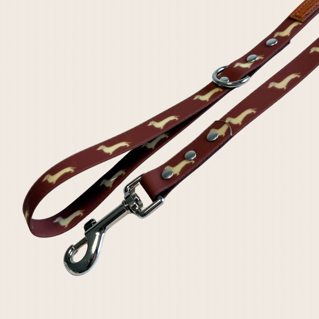 DoxieFlex Biothane waterproof dachshund lead with durable hardware.