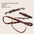 Load image into Gallery viewer, DoxieFlex Biothane dachshund walking set including collar, lead and safety clip.
