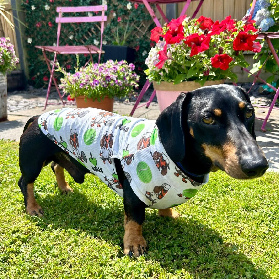 I LOVE BALLS DoxieCool Dachshund Cooling Tee Vest +30 Protection