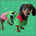 Load image into Gallery viewer, Sausage Dog Box Christmas Elf Outfit
