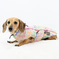 Load image into Gallery viewer, Daisy Balloon Thermal Dachshund Puffer Jacket Sausage Dog Harness Coat
