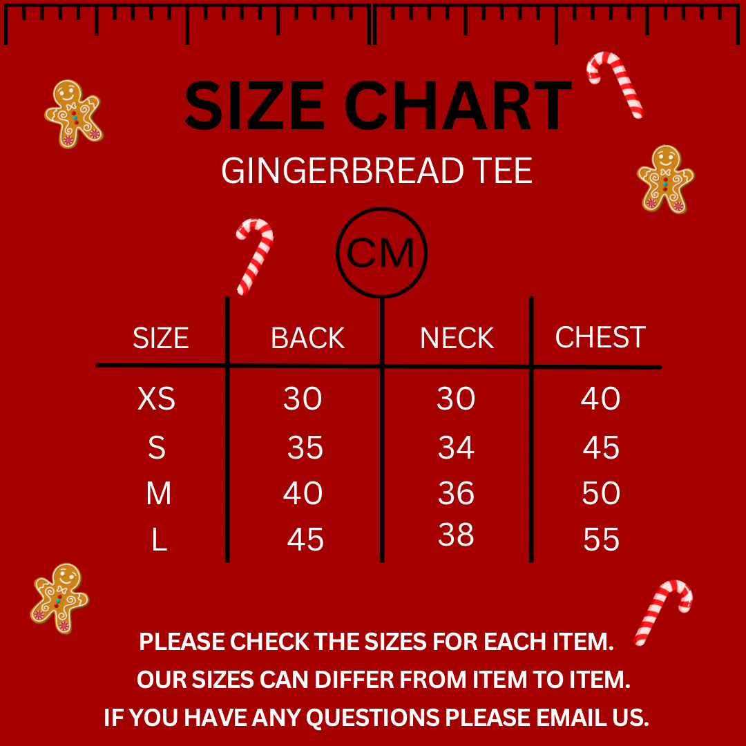 Sausage Dog Box Christmas Gingerbread Tee