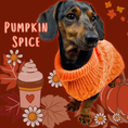 Load image into Gallery viewer, BARK AVENUE Luxury Cable Knit Jumper - Pumpkin Spice
