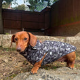 Load image into Gallery viewer, Black Twilight Doxie Fleece Dachshund Long Dog Zipper Jumper
