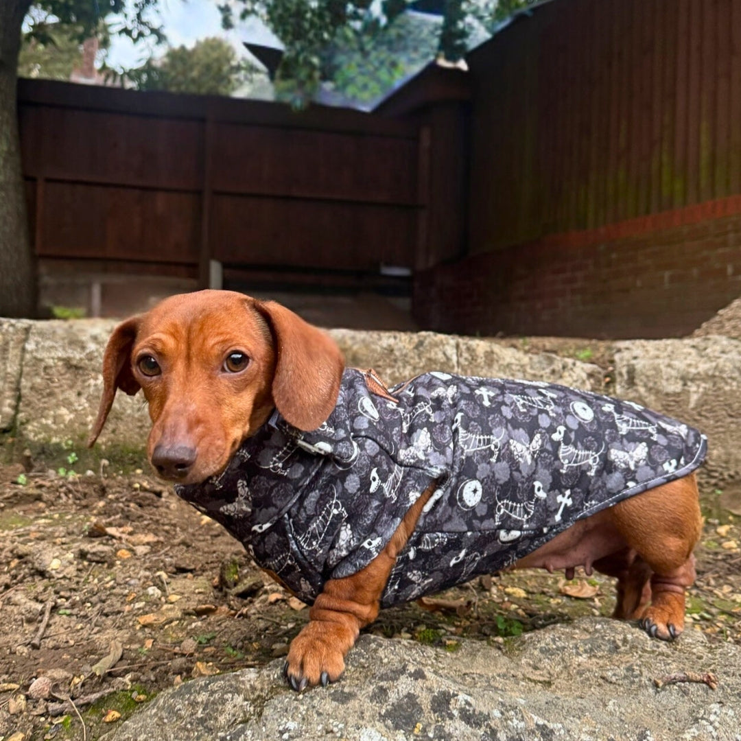 Black Twilight Doxie Fleece Dachshund Long Dog Zipper Jumper