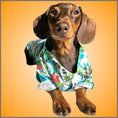 Load image into Gallery viewer, CLEARANCE - Sausage Dog Box Dachshund Hawaiian Shirt - Red Flower
