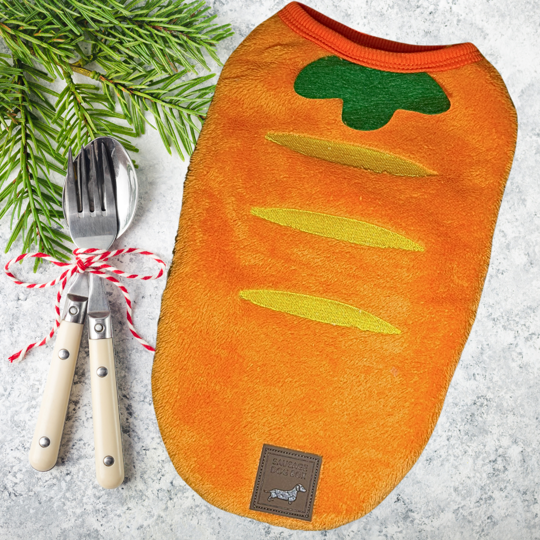 ‘The Carrot’ Dachshund Jumper PJ's | Sausage Dog Box