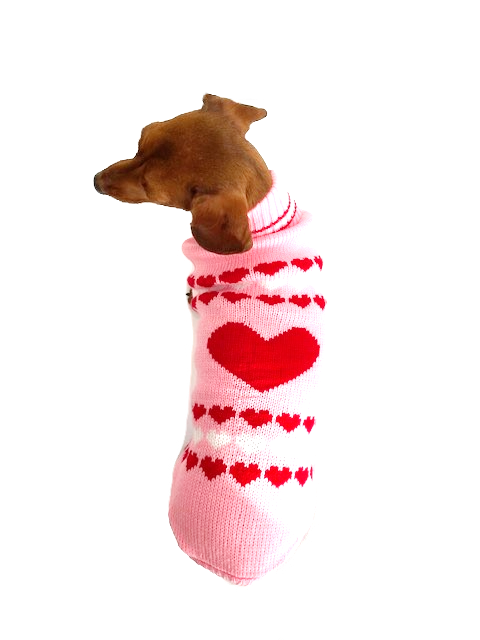 Sausage Dog Box Dachshund ‘Be Mine’ Love Heart Pink Jumper