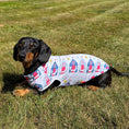 Load image into Gallery viewer, Nautical Sandy Sausage DoxieCool Dachshund Cooling Vest For Dachshund Dogs
