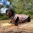 Load image into Gallery viewer, Beige Sausage Dog DoxieCool Dachshund Cooling Tee +30 Sun Protection Dog Vest
