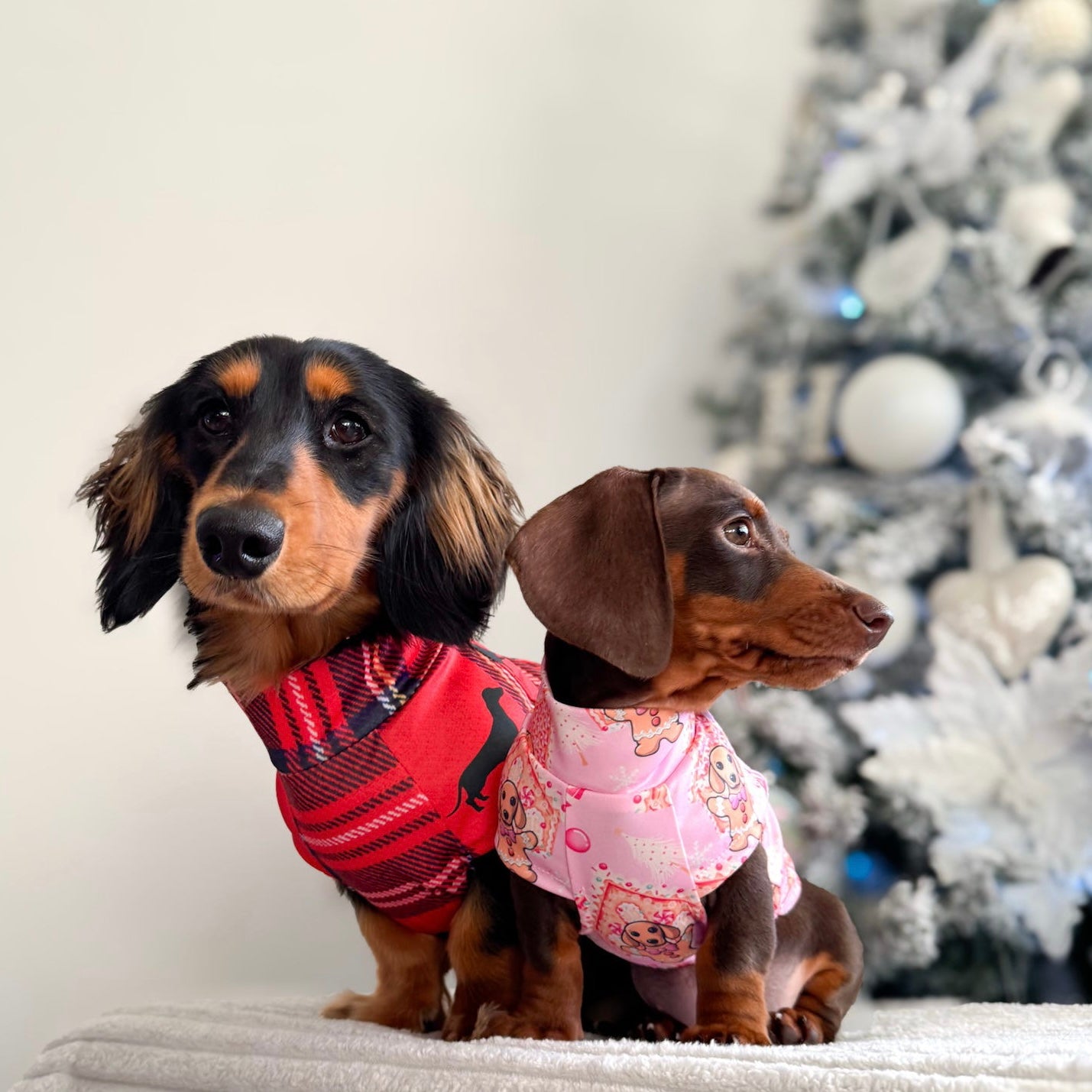 Pink Dachshund Christmas Second Skin Tee - ‘Dashin’ Through The Dough’