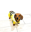 Load image into Gallery viewer, CLEARANCE - Sausage Dog Box Bumblebee Raincoat
