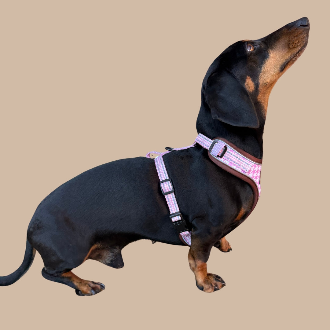 Pretty Pink Houndstooth Anti-Rub Sausage Dog Harness