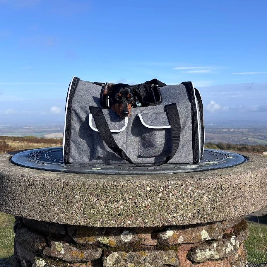 Sausage Dog Box Adventure Dachshund Backpack Carrier Airline Approved Holdall