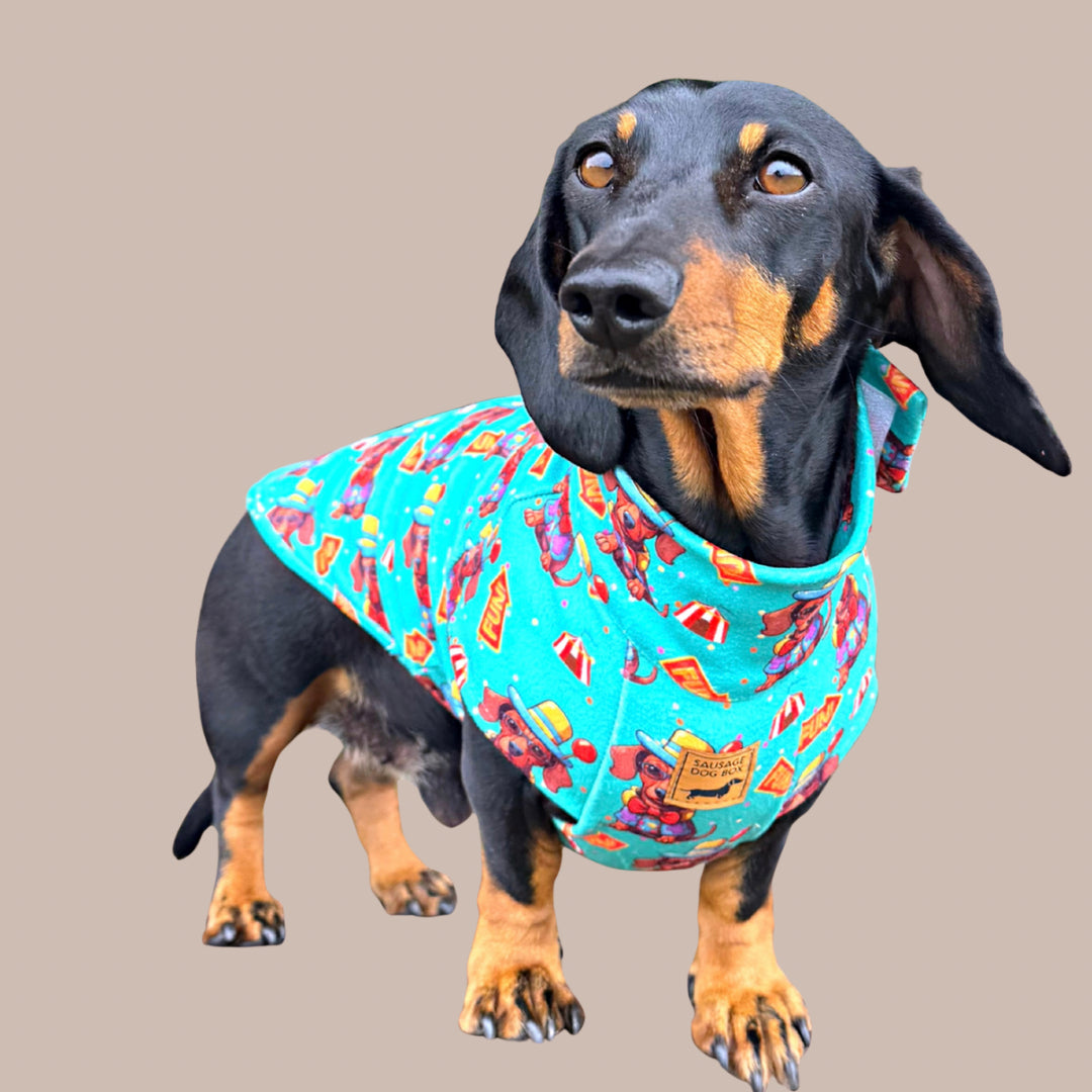 Top Dog Teal Circus Dachshund Fleece Jumper / Sweater | Sausage Dog Box