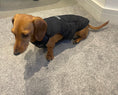 Load image into Gallery viewer, BARK AVENUE Luxury Ultimate Explorer Coat - Black
