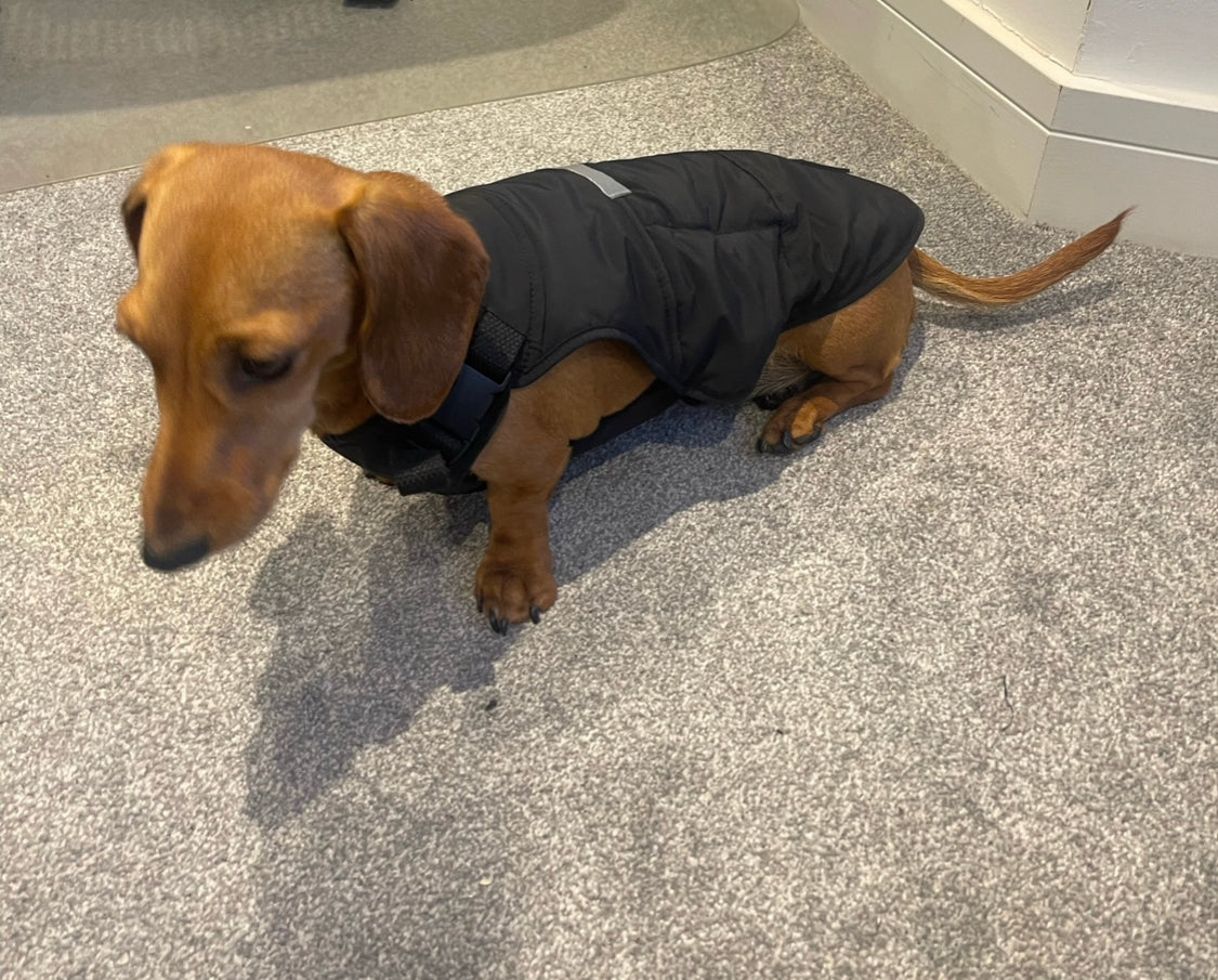 BARK AVENUE Luxury Ultimate Explorer Coat - Black