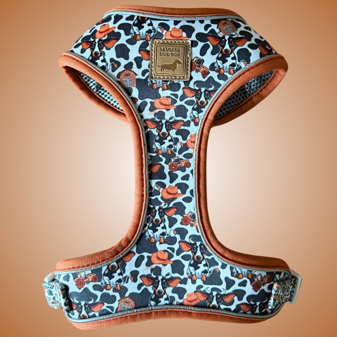 Howdy Cowboy Anti-Rub Harness for Dachshunds / Adjustable Sausage Dog Harness