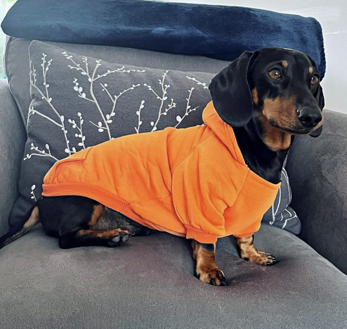 Sausage Dog Box Orange Dachshund Hoodie