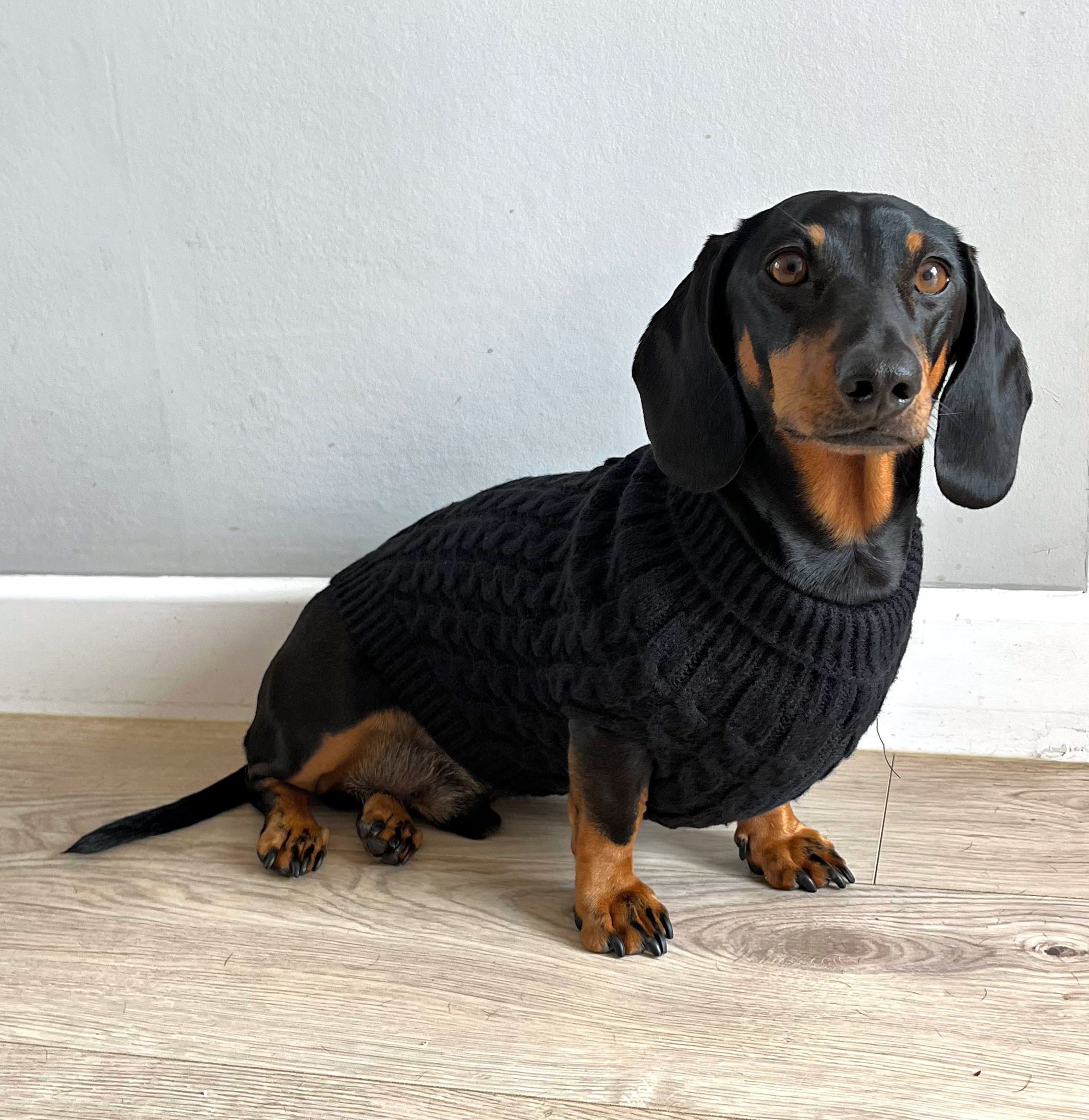 BARK AVENUE Luxury Cable Knit Jumper - Matte Black