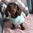 Load image into Gallery viewer, XXS Tiny Puppy Snuggle Dachshund Fleece - 20cm / 8inch Back | Sausage Dog Box
