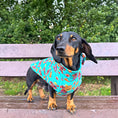 Load image into Gallery viewer, Top Dog Teal Circus Dachshund Fleece Jumper / Sweater | Sausage Dog Box
