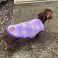 Load image into Gallery viewer, ‘Pitter Patter Paws’ Sausage Dog Box Puppy Pj Jumper
