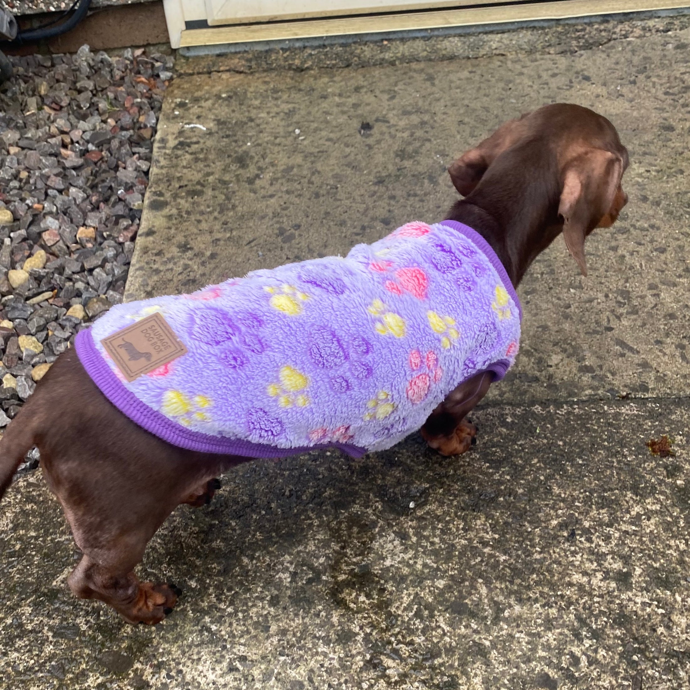 ‘Pitter Patter Paws’ Sausage Dog Box Puppy Pj Jumper