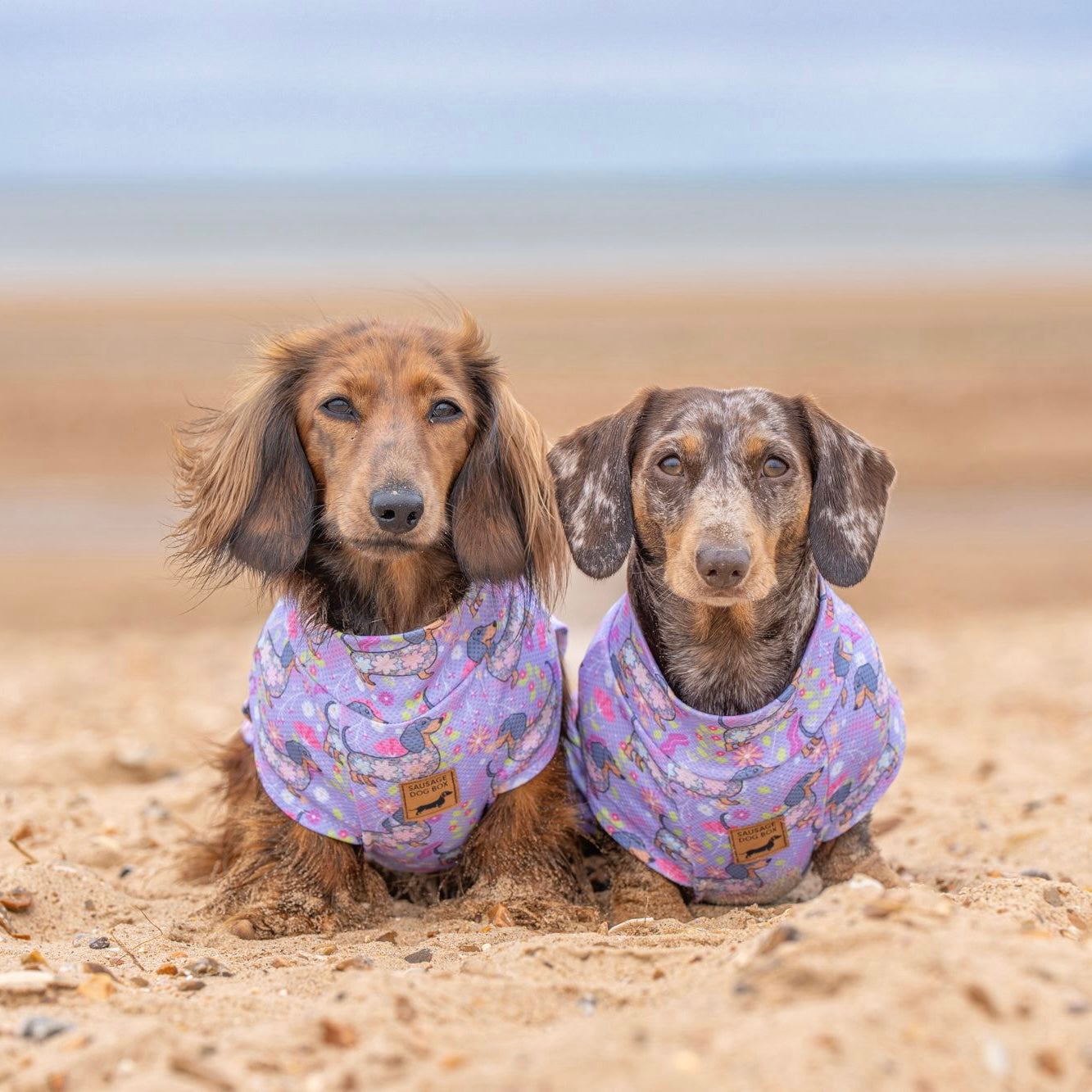 Dachshund In Bloom DoxieCool Dog Cooling Vest for Dachshunds