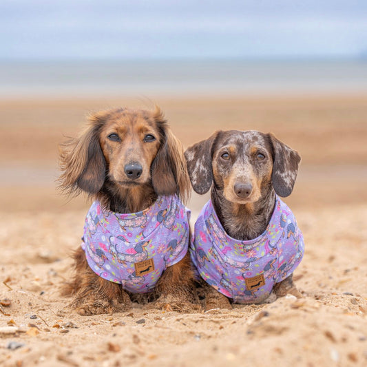 Dachshund In Bloom DoxieCool Dog Cooling Vest for Dachshunds