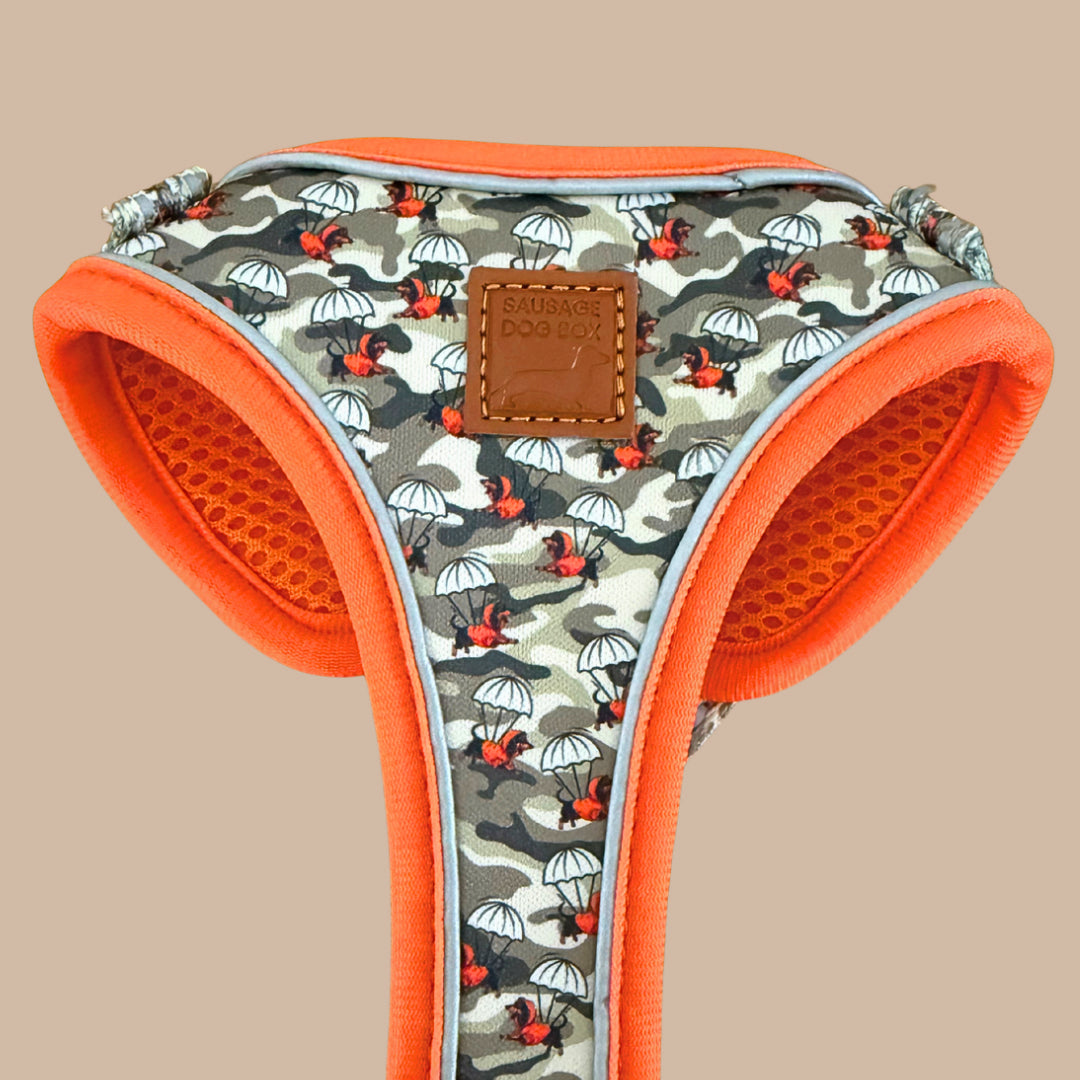 Action-Dax Anti-Rub Dachshund Harness