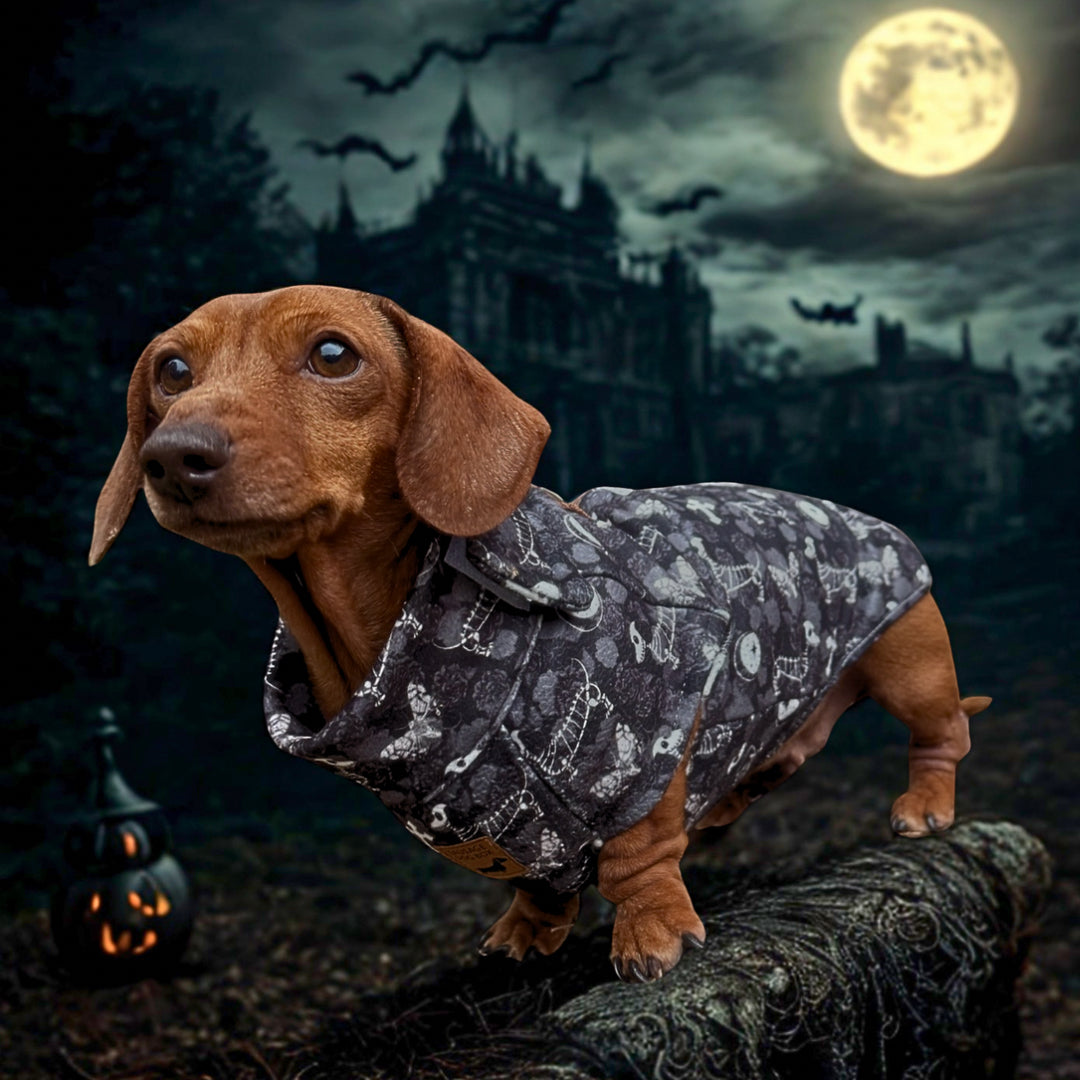 Black Twilight Doxie Fleece Dachshund Long Dog Zipper Jumper