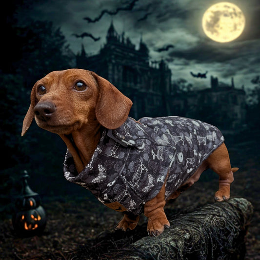Black Twilight Doxie Fleece Dachshund Long Dog Zipper Jumper